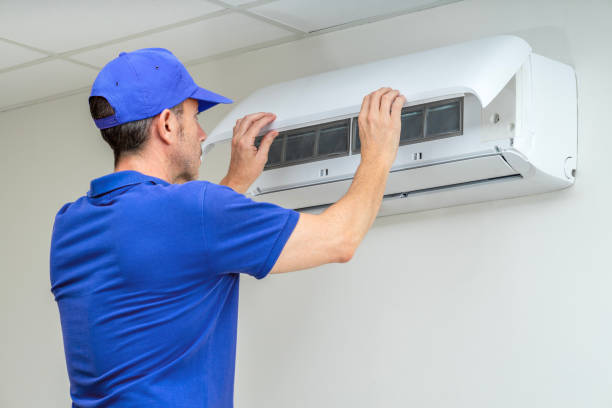Best Air Duct Sanitizing Services  in Dallesport, WA